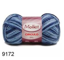 Lã Mollet Círculo Cor Mesclada 100G -9172