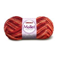 Lã Mollet Círculo Cor Mesclada 100G - 9642