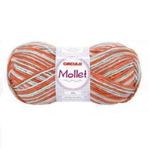 Lã Mollet Círculo Cor Mesclada 100G - 9699 - Circulo