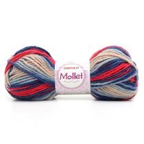 Lã Mollet Mesclado 40g