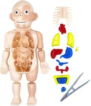 Lab Kit Médico Conhecendo O Corpo Humano 42580 - Toyng