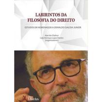 Labirintos da Filosofia do Direito - LIBER ARS