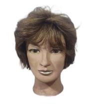 Lace Wig Cabelo Humano Curto Castanho Lace Wig Cabelo Humano Curto Castanho