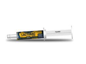Lactobac Bovis Suplemento para Bovinos 30ml - Organnact Lactobac Bovis Suplemento para Bovinos 30ml - Organnact
