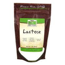 Lactose Milk Sugar Now Foods 454g (pacote com 2)