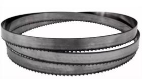 Lamina Serra Fita 1.1/4 Com 3 Dentes Soldada Com 3,90 Mts Lamina Serra Fita 1.1/4 Com 3 Dentes Soldada Com 3,90 Mts