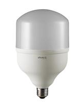 Lâmpada Bulbo T Ultra Led 30W 6500K Bivolt