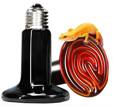 Lâmpada Cerâmica Aquecedor 110v 220v G Repteis E Aves Lâmpada Cerâmica Aquecedor 110v 220v G Repteis E Aves
