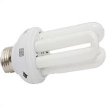 Lampada Compacta Espiral 58X127 Ecolume 6400K 288 Lampada Compacta Espiral 58X127 Ecolume 6400K 288