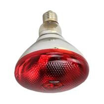 Lâmpada De Aquecimento Para Animais De Estimação De Alta Potência 100W 150W 175W 200W 250W 275W Para