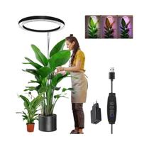 Lâmpada De Cultivo LED De Espectro Completo Ajustável Em Altura De 165cm Com USB Para Plantas Lâmpada De Cultivo LED De Espectro Completo Ajustável Em Altura De 165cm Com USB Para Plantas