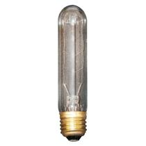 Lâmpada de Filamento de Carbono 40W Transparente E27 220V - 1161