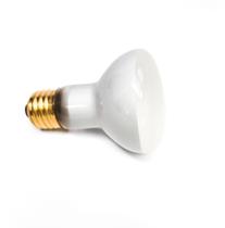 Lâmpada de lava Starlighting 100W 125V R20