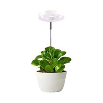 Lâmpada De Mesa LED Ajustável De Espectro Completo Para Cultivo Com Temporizador De 2, 4 E 8 Horas