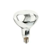 Lâmpada De Secagem Aquecer Tintas Estufa 250w 127v Brasfort