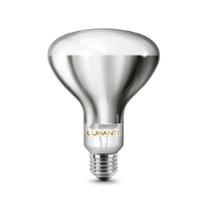 Lâmpada de secagem infra vermelho aviário aquecimento 250w 220v - lumanti