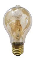Lampada Filamento De Carbono A19 E27 40w 110v Retrô Vintage