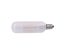 Lampada filamento de carbono t25 40w 220v e12 retro troy