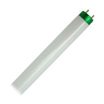 Lâmpada Fluorescente Philips F32T8 32W 122cm 5000K