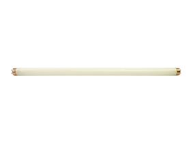 Lâmpada Fluorescente Tubular 20w 60 cm Branca T8 Aquários