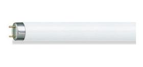 Lâmpada Fluorescente Tubular T10 20w 6500k 60cm Phillips
