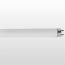 Lâmpada Fluorescente Tubular T8 Taschibra 18W 6400k Convencional - TASCHIBRA