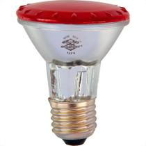 Lampada Halogena Par 20 Brasfort 50W X 127V Vermelha 7289 Lampada Halogena Par 20 Brasfort 50W X 127V Vermelha 7289