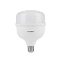 Lâmpada High Led Tkl 270 Bivolt 50w 6500k - Taschibra