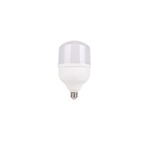 Lâmpada High Power Led 30w Llum High Bulbo No Voltagev Br