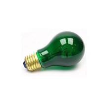 Lampada Incandescente VERDE 127v 40w KITE COM 10