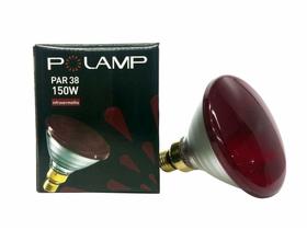 Lâmpada Infravermelho, 110v - Polamp Lâmpada Infravermelho, 110v - Polamp