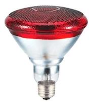 Lâmpada Infravermelho 150W 127V Carci Fisioterapia Infraterm Infrared Lâmpada Infravermelho 150W 127V Carci Fisioterapia Infraterm Infrared