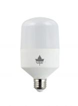 Lâmpada LED 30W Luz Branca 6000K Bivolt E27 Ecolume Z100 maior durabilidade