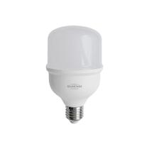 Lâmpada Led Blumenau Pro T-shape T80 40w E27 Bivolt 6500k Luz Branca Lâmpada Led Blumenau Pro T-shape T80 40w E27 Bivolt 6500k Luz Branca