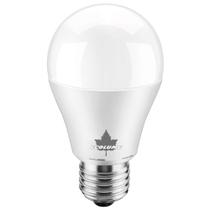 Lâmpada LED Bulbo A60 7W E27 6000K Luz Branca Fria Bivolt Ecolume