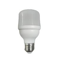 Lâmpada LED Bulbo Alta Potência 20W Luz Fria Bivolt