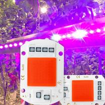Lâmpada LED De Crescimento De Espectro Completo Com Chip COB 110V 220V Sem Driver Para Plantas