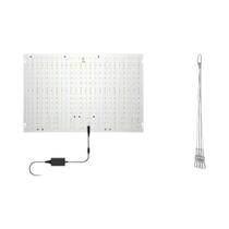 Lâmpada LED De Espectro Completo Para Cultivo 100W 150W 200W Quantum Board Para Sementes,