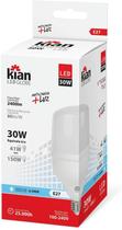 Lâmpada Led Globe E-27 30W 6500K Kian