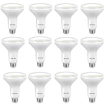 Lâmpada LED Philips BR30 regulável 650lm 2700K 8W E26 12pk Lâmpada LED Philips BR30 regulável 650lm 2700K 8W E26 12pk