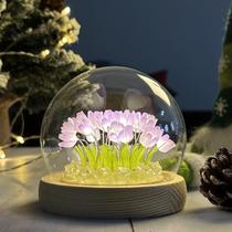 Lâmpada LOGAZOO Tulip Night Light com cúpula de vidro de 10 cm Lâmpada LOGAZOO Tulip Night Light com cúpula de vidro de 10 cm