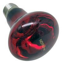 Lâmpada Nomoypet Nd 21 50w Infravermelho Noturna Aquecimento - 110v
