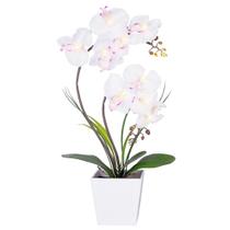 Lâmpada Orchid Lamp HOMESEASONS Homeseasons Arranjo iluminado LED Lâmpada Orchid Lamp HOMESEASONS Homeseasons Arranjo iluminado LED