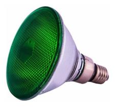 Lâmpada PAR38 LED Verde 130V 10W E-27 combo com 5 Lâmpada PAR38 LED Verde 130V 10W E-27 combo com 5