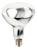 Lampada Para Aquecer Batata Frita 250w 220v E27