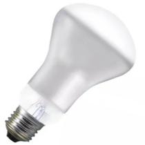 Lâmpada para Spot R63 40 Watts 220 Volts - 8548 - BRASFORT Lâmpada para Spot R63 40 Watts 220 Volts - 8548 - BRASFORT