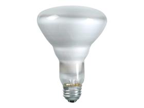 Lâmpada PHILIPS BR-30 Refletor 65 W 620 lúmens E26, pacote com 12