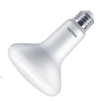 Lâmpada PHILIPS BR30 E26 Daylight 15W 120V