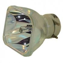 Lampada Projetor Sanyo Plc Xw200 Xw250 Xw300 Philips