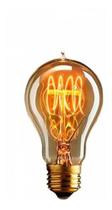 Lâmpada Retro Vintage A19 Filamento Carbono Thomas Edson 40W Lâmpada Retro Vintage A19 Filamento Carbono Thomas Edson 40W